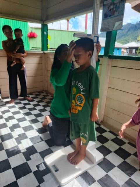 Kegiatan Posyandu 3
